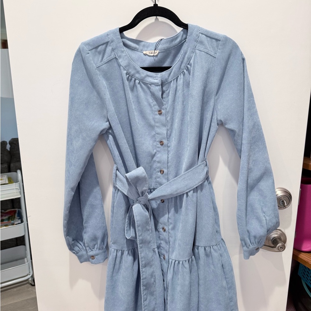 Stylish Blue Long Sleeve Dress